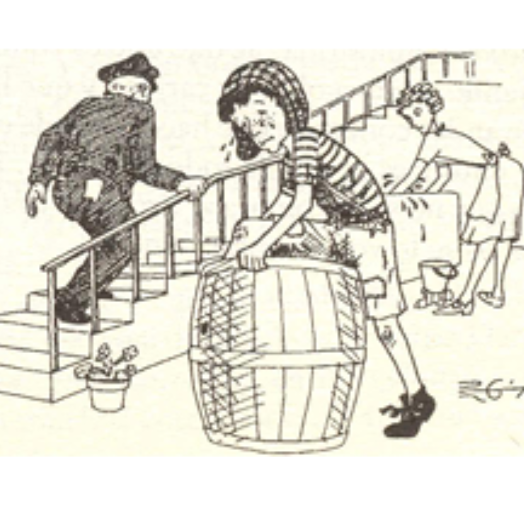 Edición 30 aniversario de El diario del Chavo del Ocho