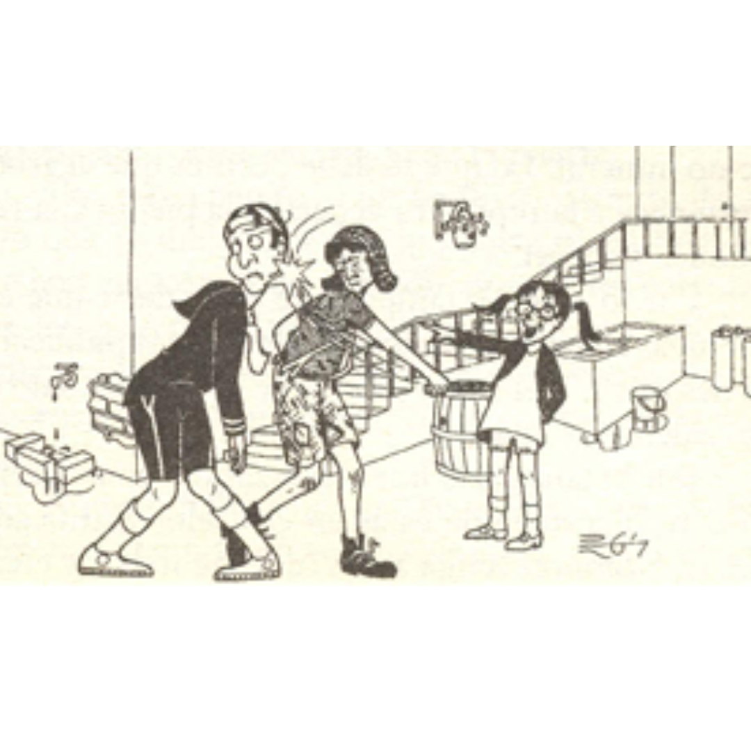 Edición 30 aniversario de El diario del Chavo del Ocho